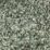 Boucle Moss